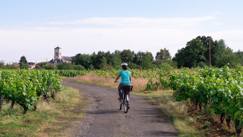 velos et randonnees dans les vignes