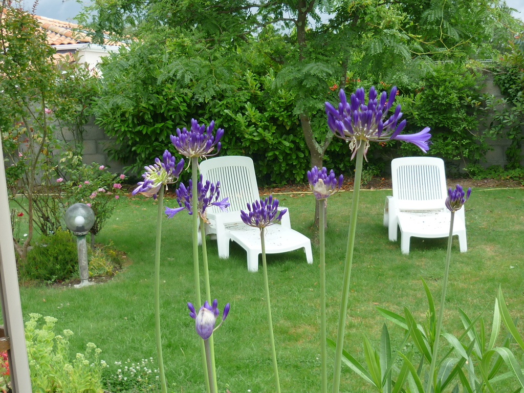 DETENTE PRES DE LA TERRASSE