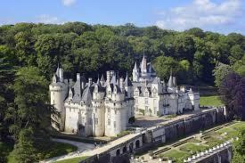 LES CHATEAUX DE LA LOIRE A 2H