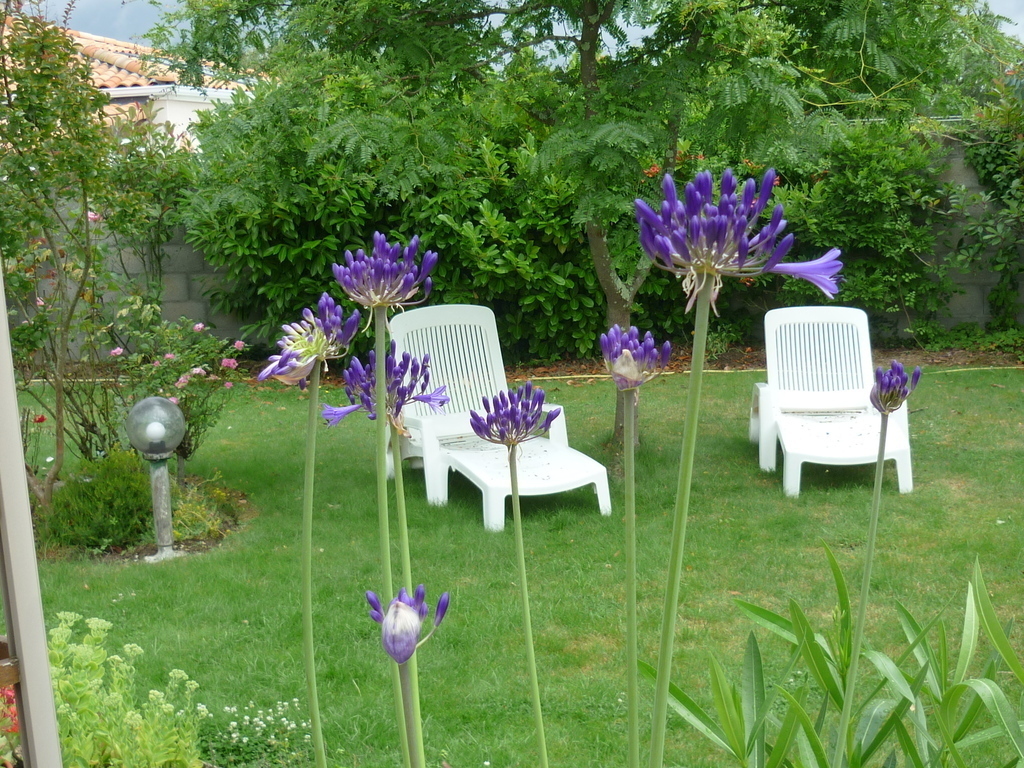 DETENTE PRES DE LA TERRASSE