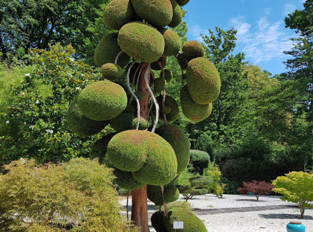 Orléans -La Source . Parc floral 35 ha