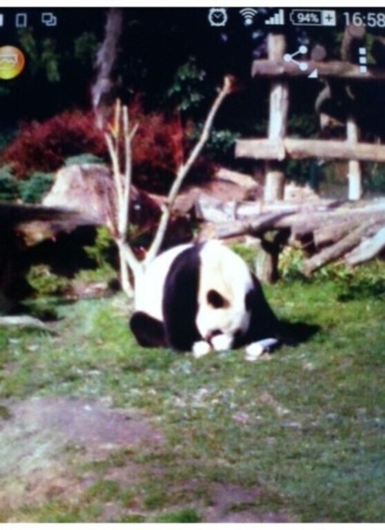 Zoo de Beauval, 108 km
