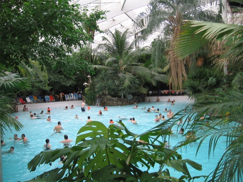 Center Park Sologne ,60 km