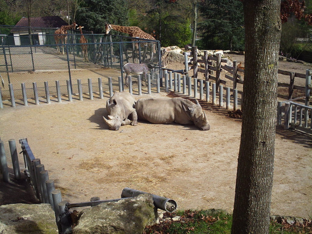 Zoo de Beauval , 108 km