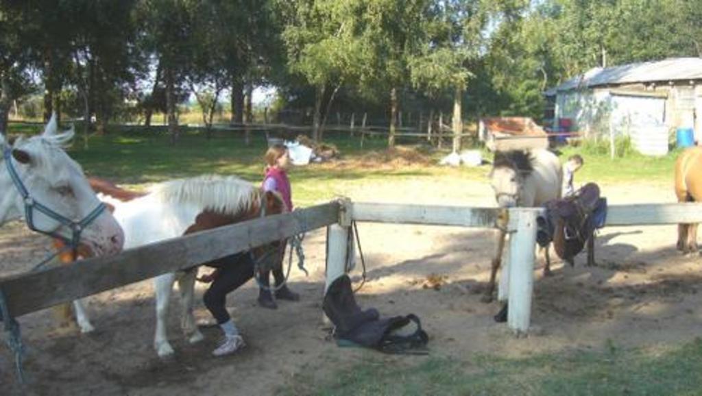 equestrian centre of Montlivault