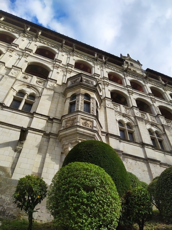 Blois Castle , 15mn drive