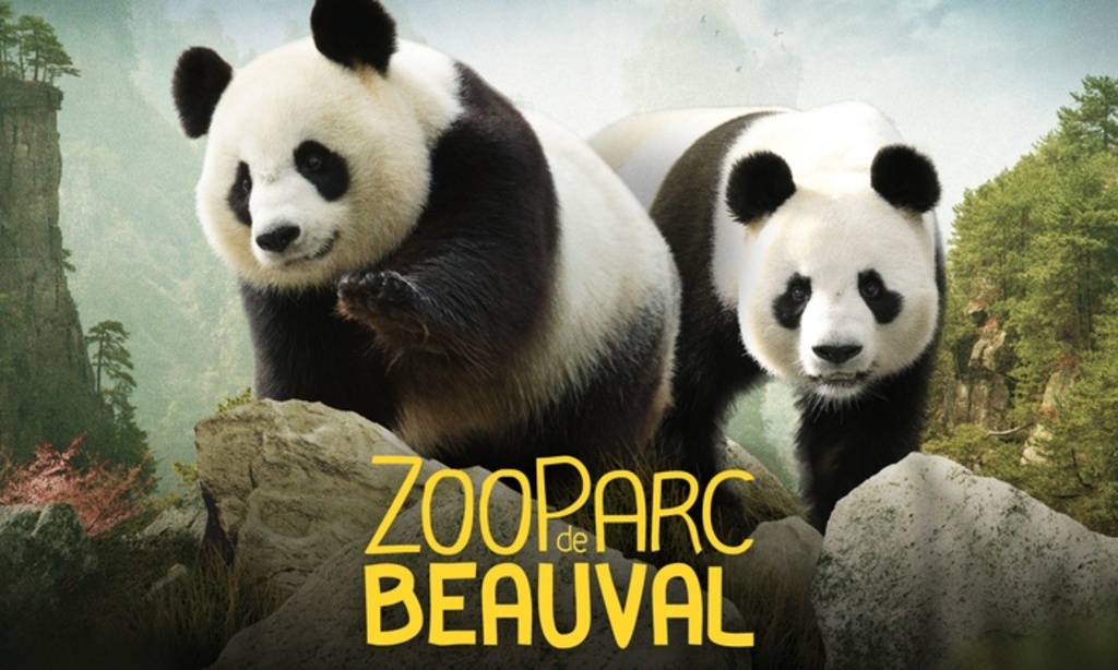 Beauval, one of the 5 best zoos in the world, 45 mn drive