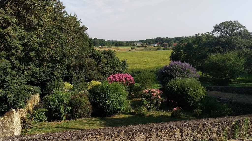 view from the terrace of our  garden