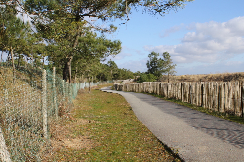 Bicycle path to la Tranche downtown