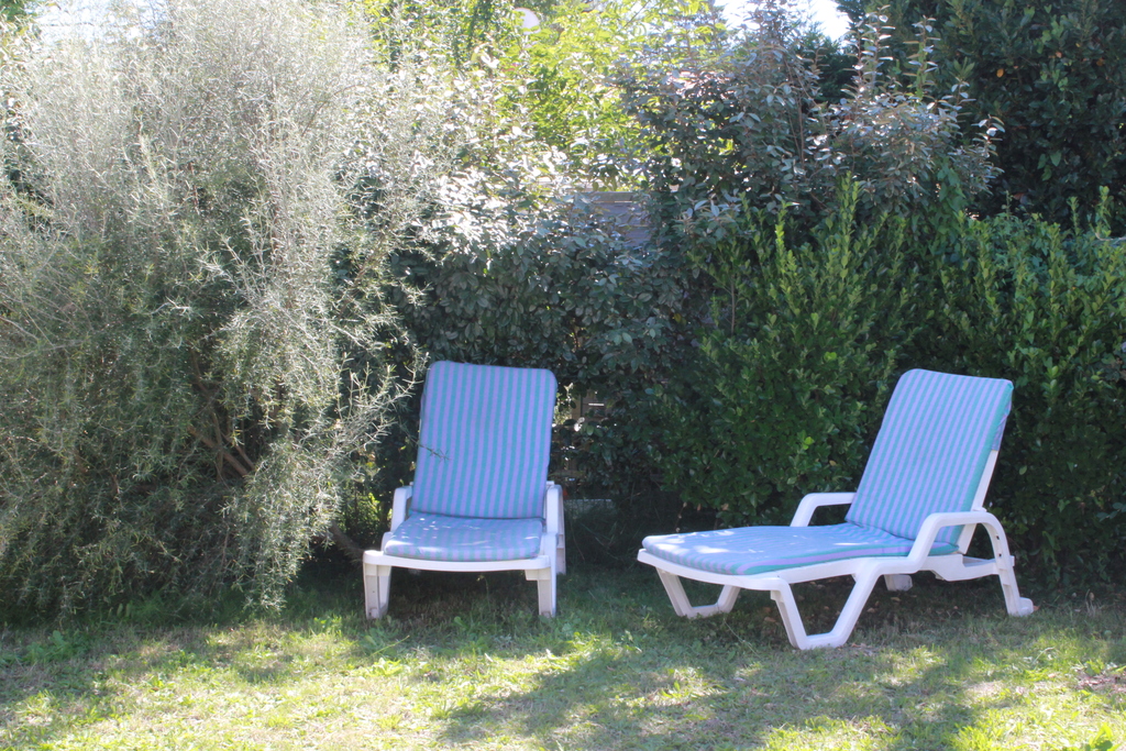 At the back of the garden