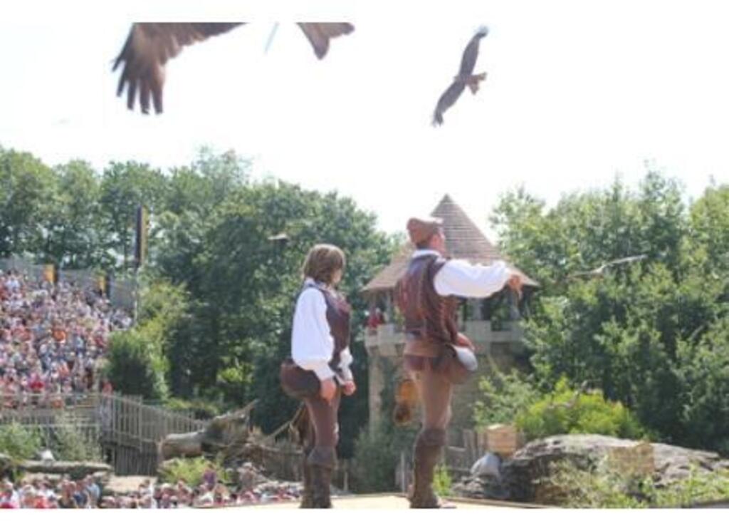 Puy du fou - show
