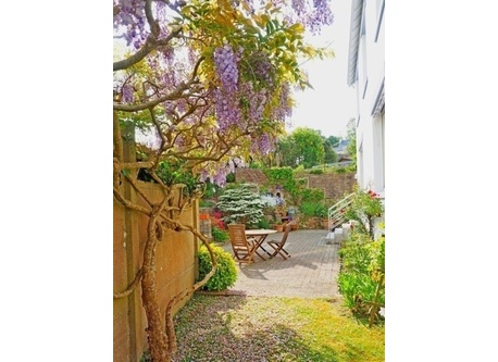 Le jardin et l.agréable terrasse sud