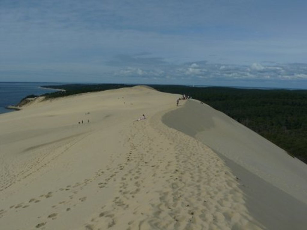 The "Dune du Pyla" (the highest in Europe)