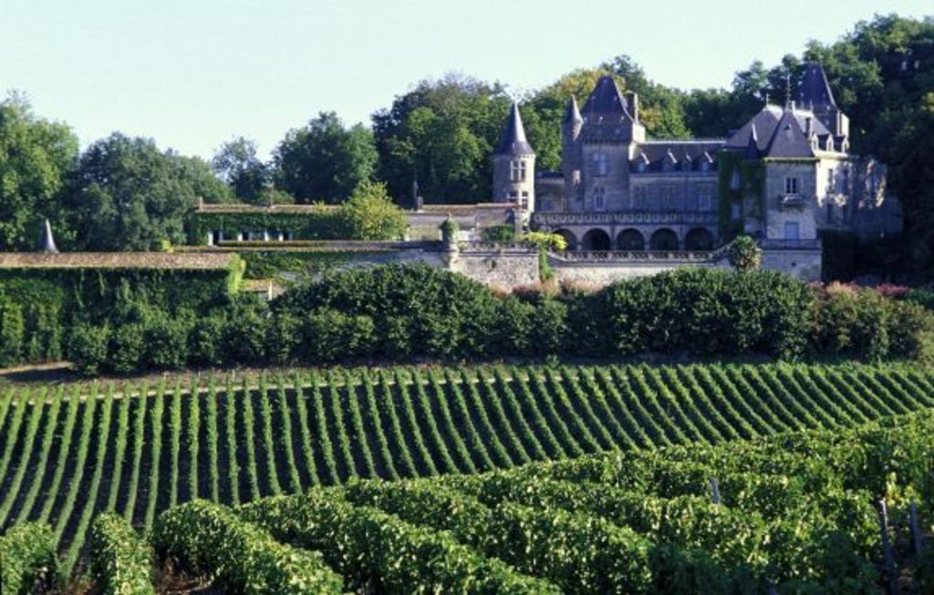 The wineyards near Bordeaux