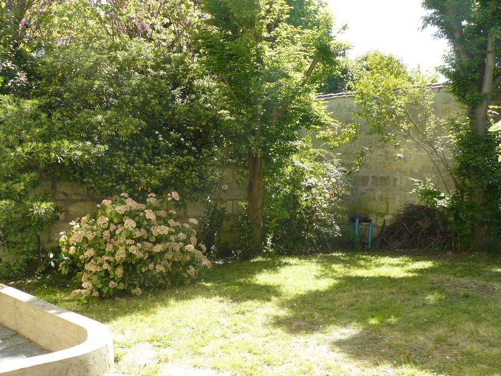 the garden (South West side) 