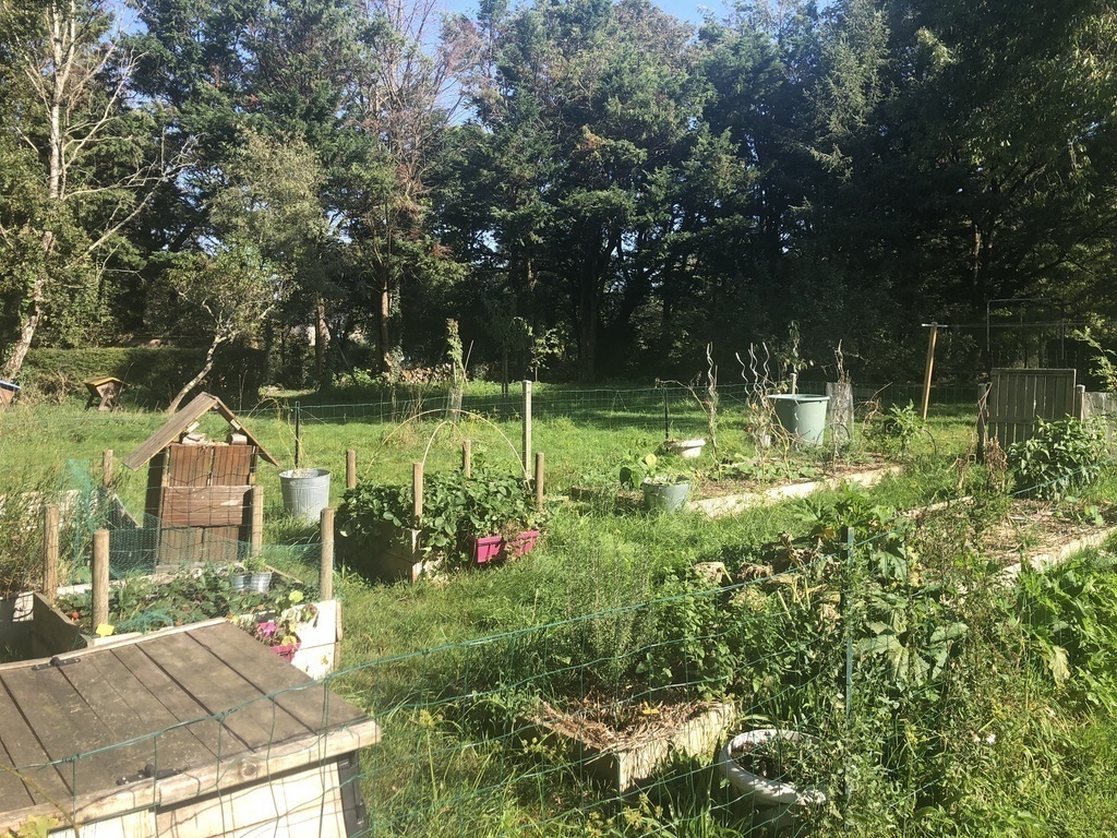 Vegetable garden