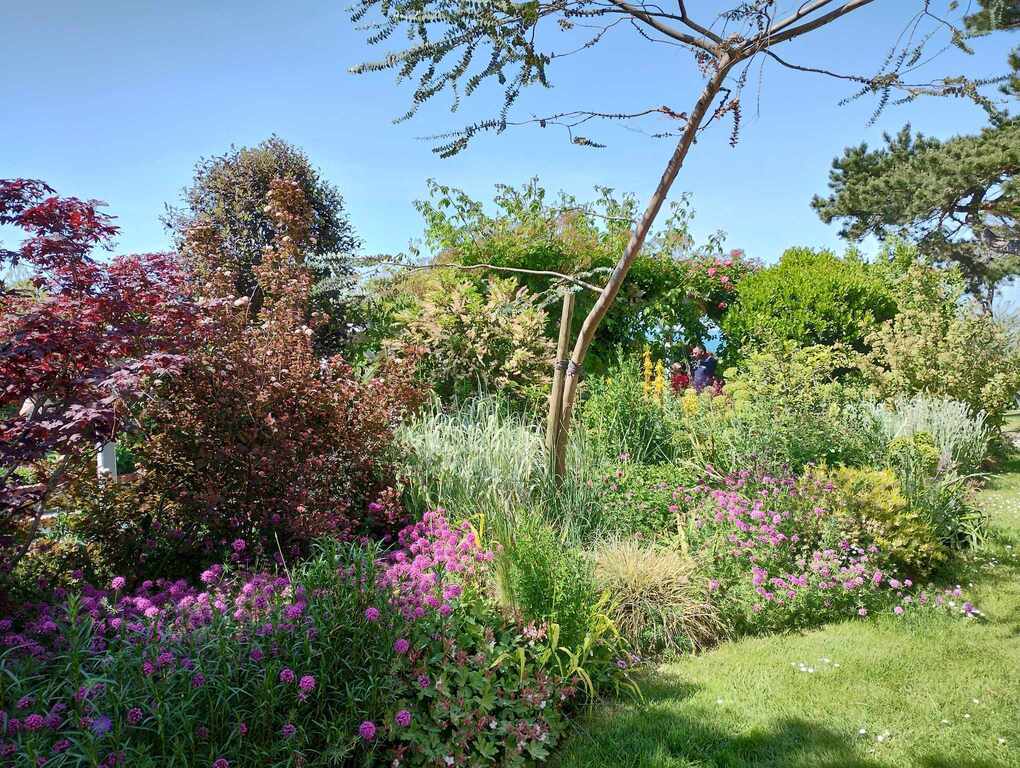 Gardens of the Christian Dior museum in Granville (20min)