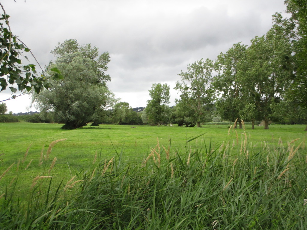Norman countryside in Dragey in Mont Saint Michel bay (10minutes)