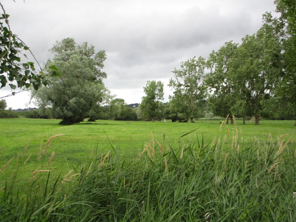 Norman countryside in Dragey in Mont Saint Michel bay (10minutes)