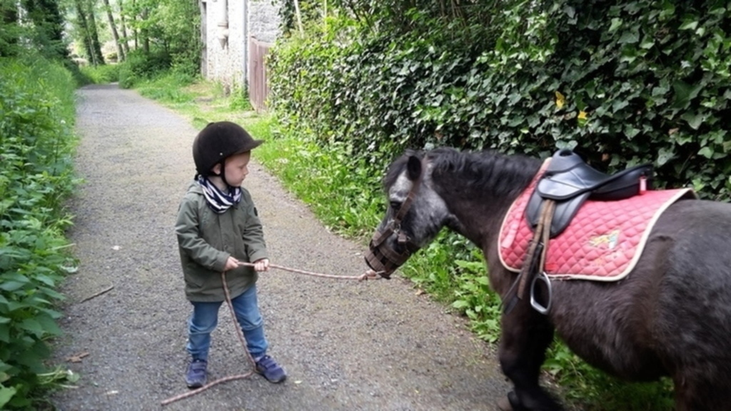 Balade à poney dans la vallée à 1 mn à pied