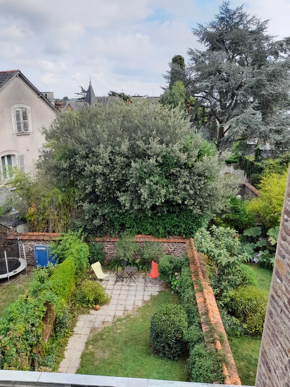 The garden (from the 2nd floor)