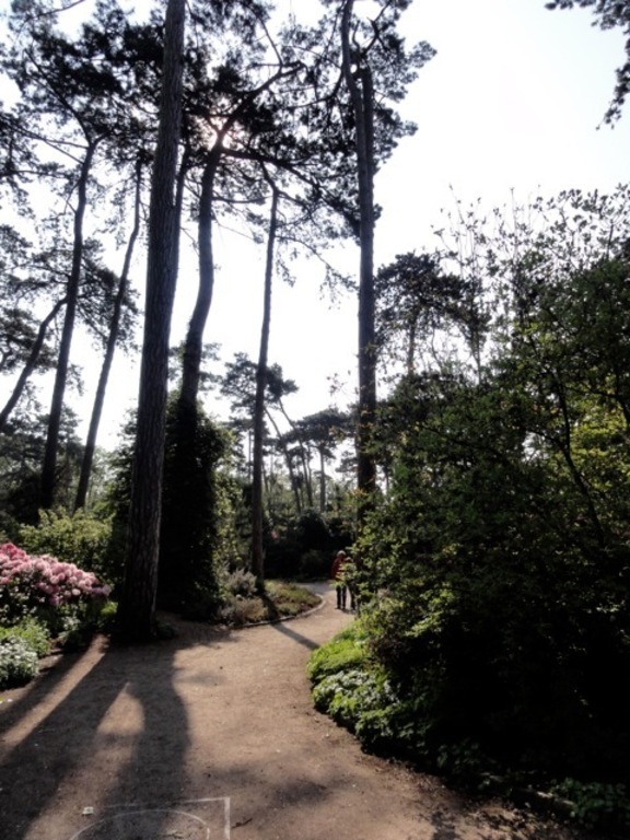 "Parc floral" in bois de Vincennes