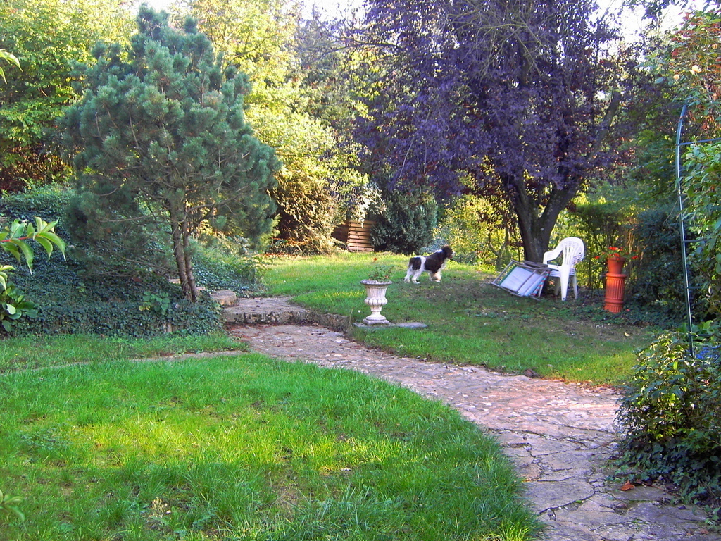 the garden