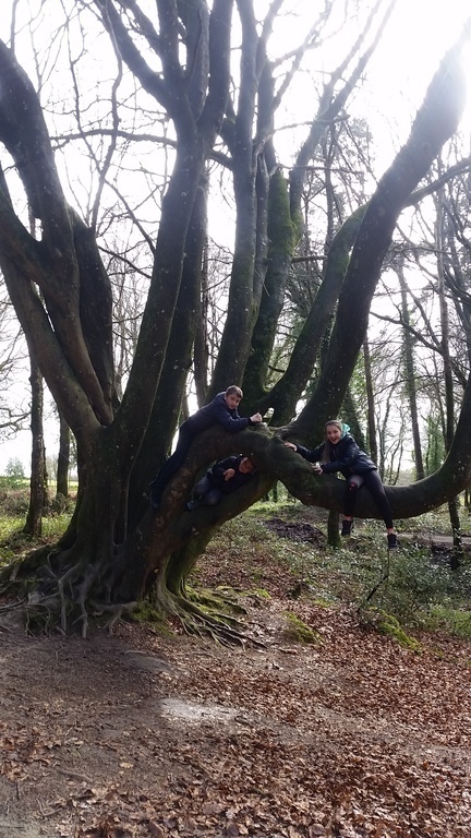 forêt d'Avaugour (20 min by car)