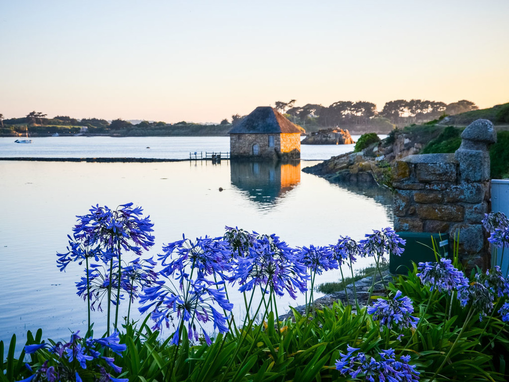 île de bréhat ( 45 min by car + 7 min by boat)