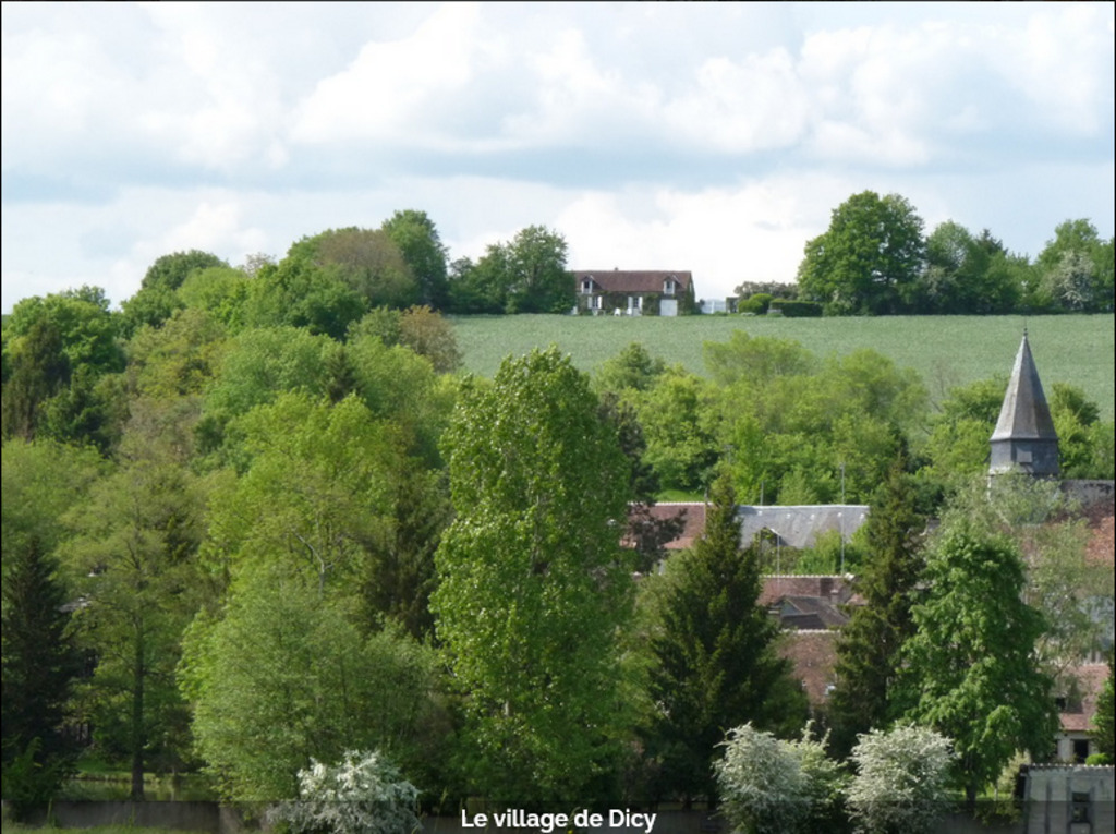 The housse is on the top of the hill 