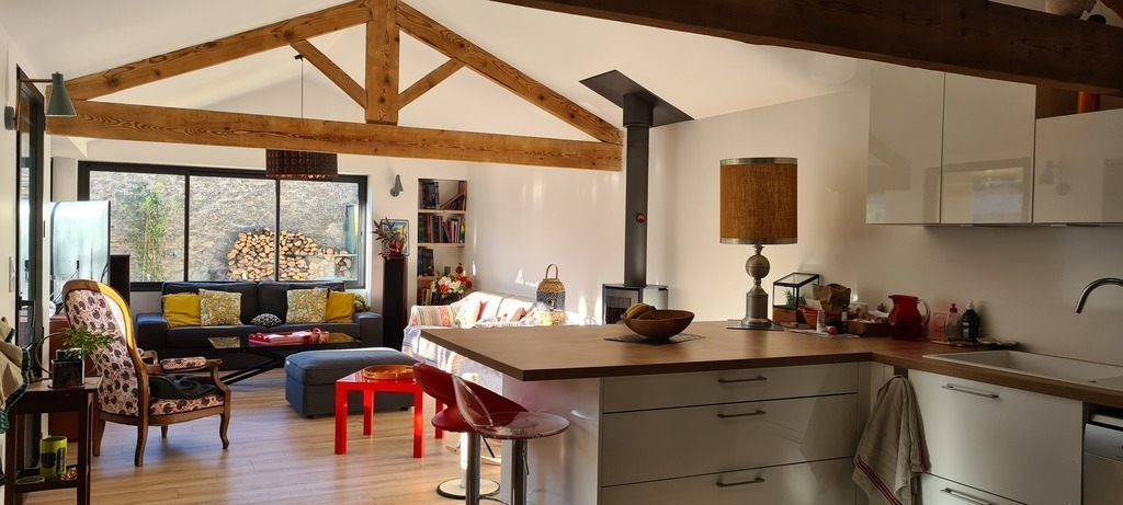 Kitchen open to the living room