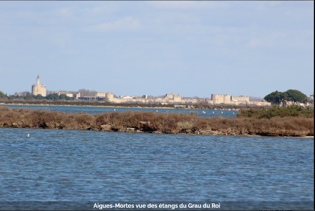 Aigues-Mortes (view of Le Grau-du-Roi)
