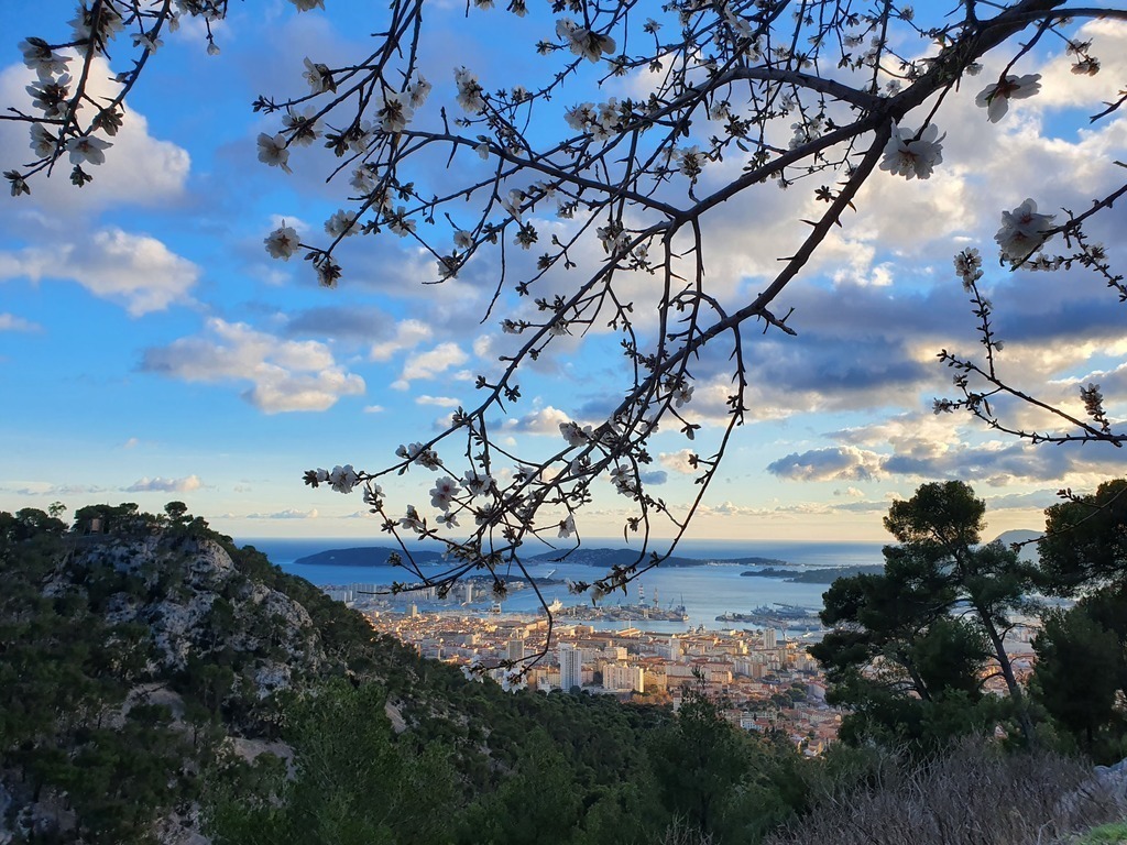 View of the heights of the city of Toulon