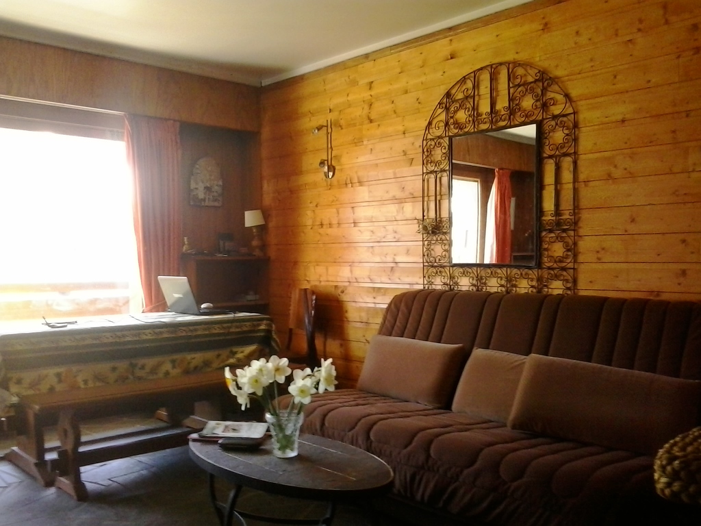 the living room and the sofa( for 2 persons)