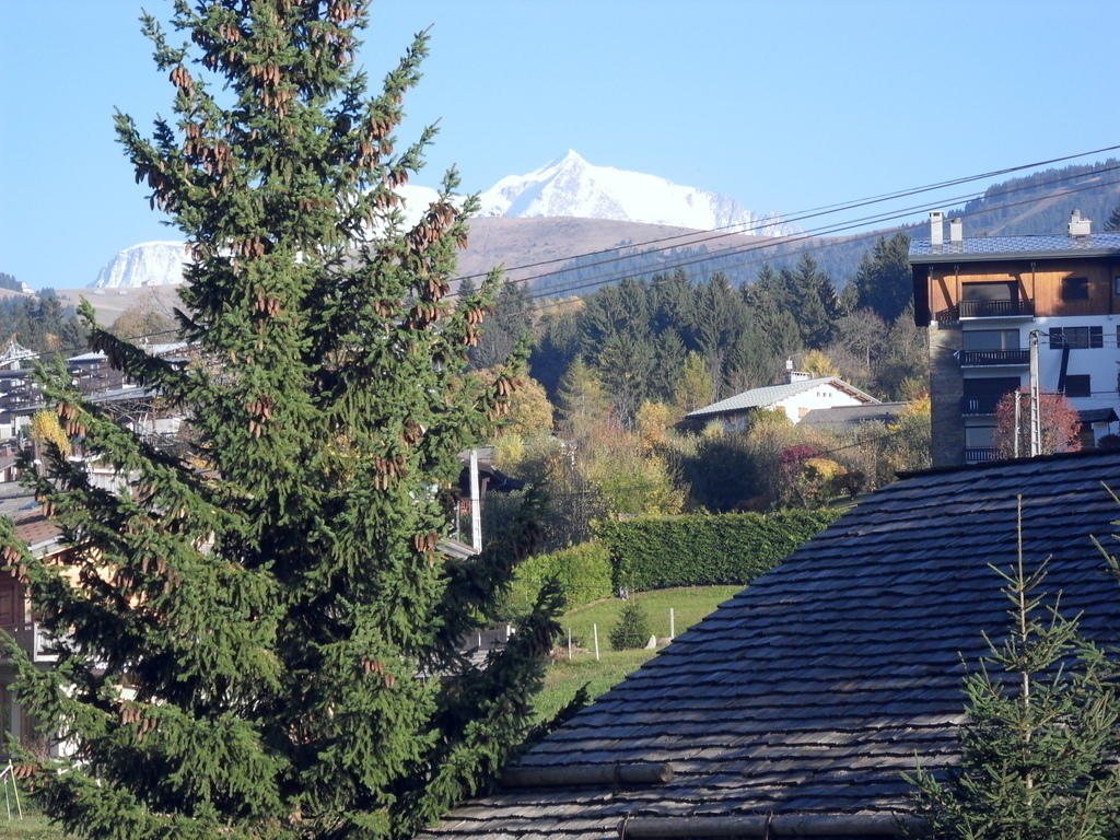 view from the balcony in Summer