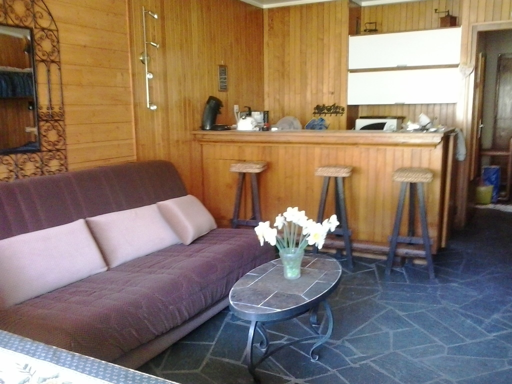 the living room and kitchenette