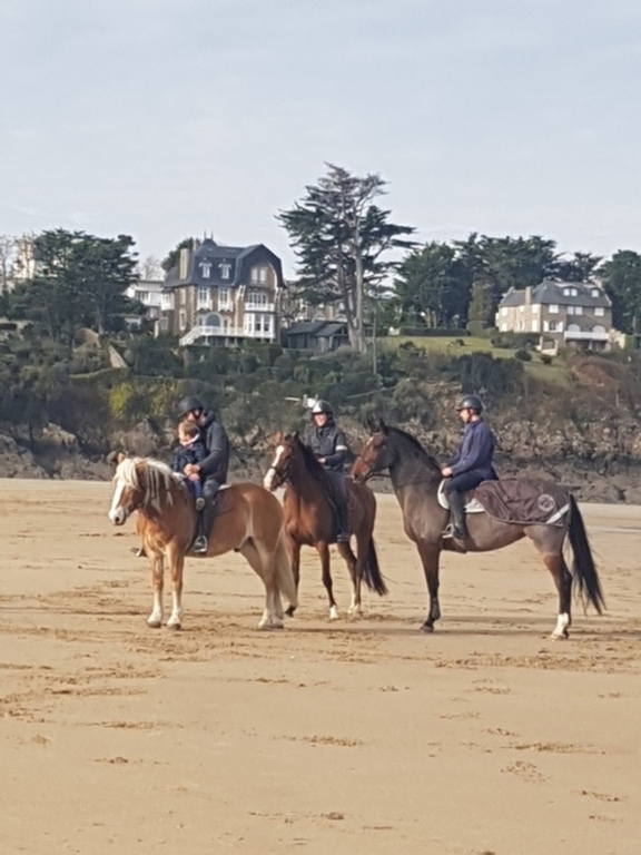 sortie équitation sur la grande plage