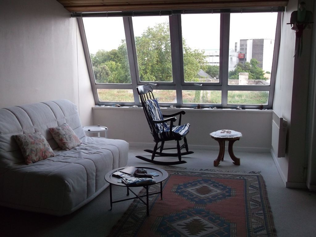 partie du séjour avec canapé convertible/ part of the living-room  with a 2person extensive sofa