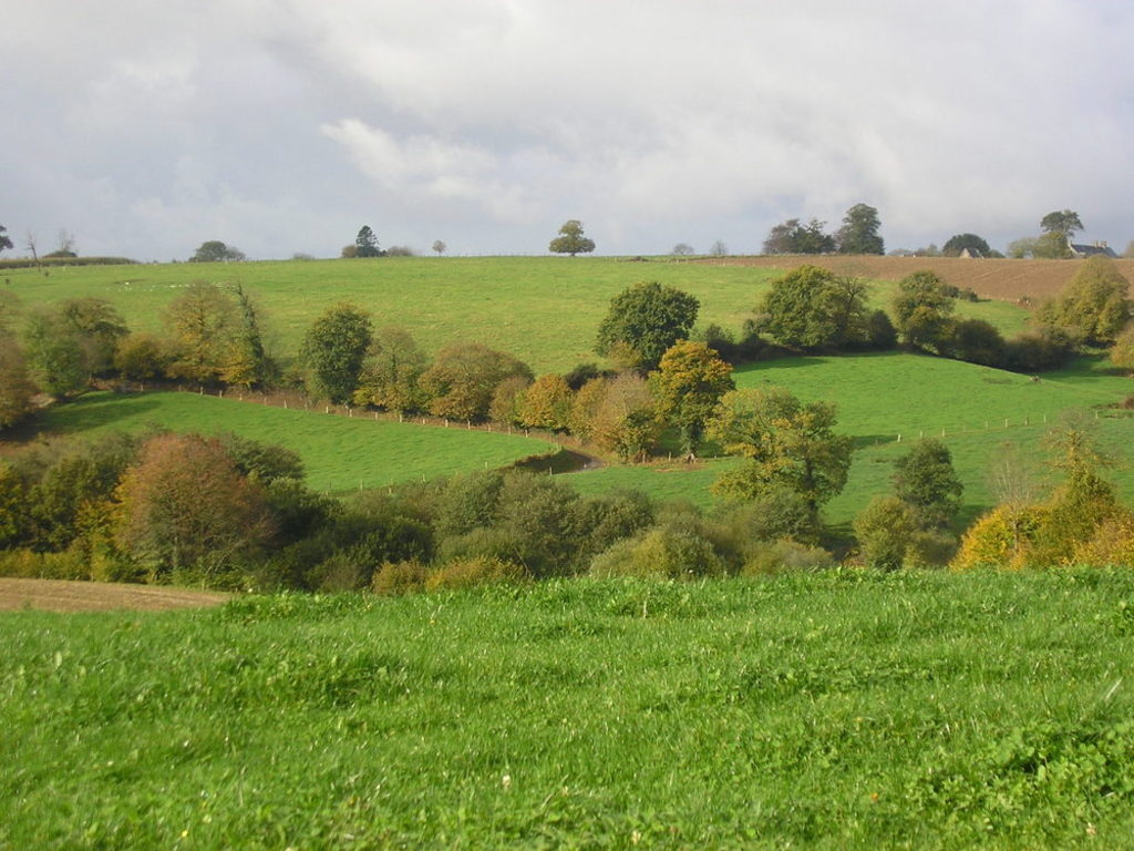 The Norman countryside called "bocage"