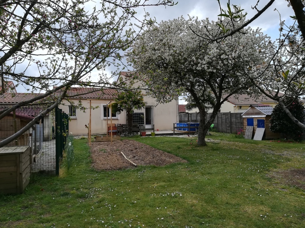 jardin derrière la maison 