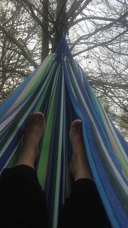 In the hammock