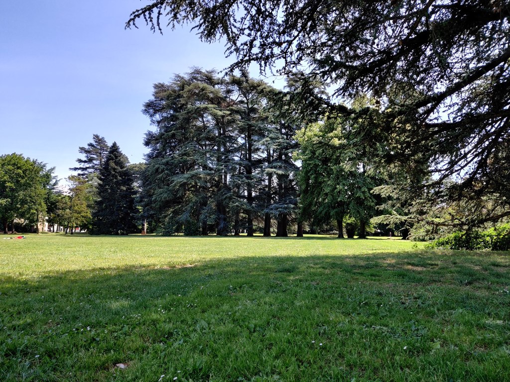 Park of Chaponnay