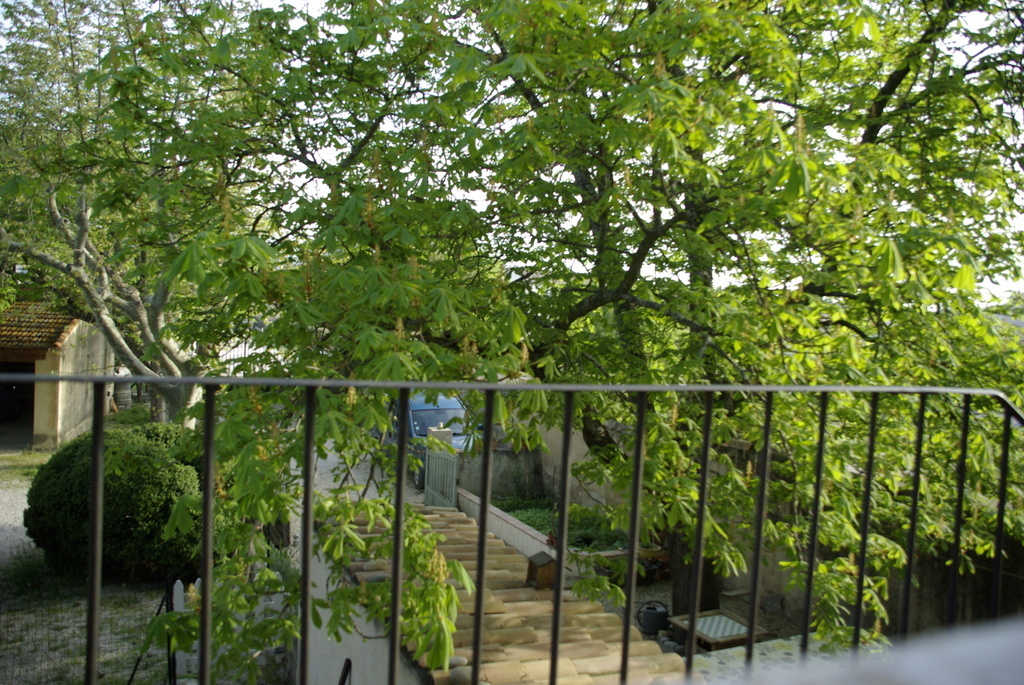 from the balcoon, to the other part of the garden