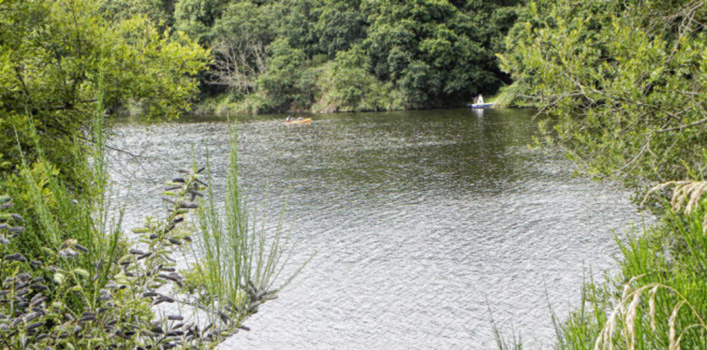 path starting from the house