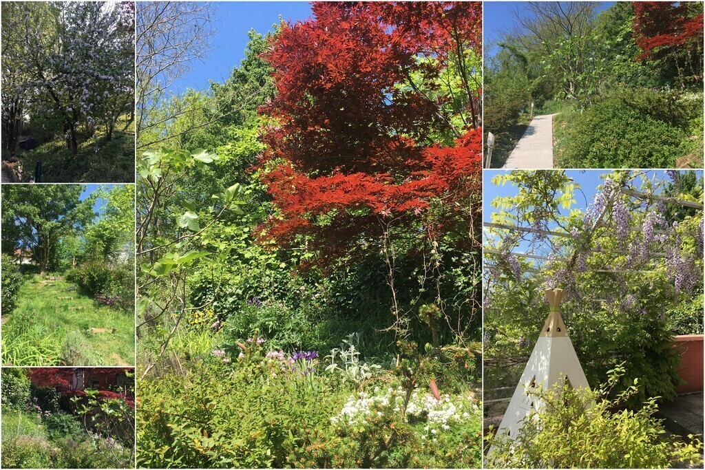 Garden and tipi on the balcony. Spring and early summer.