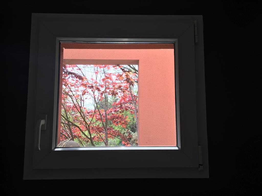 Detail of the house and garden.