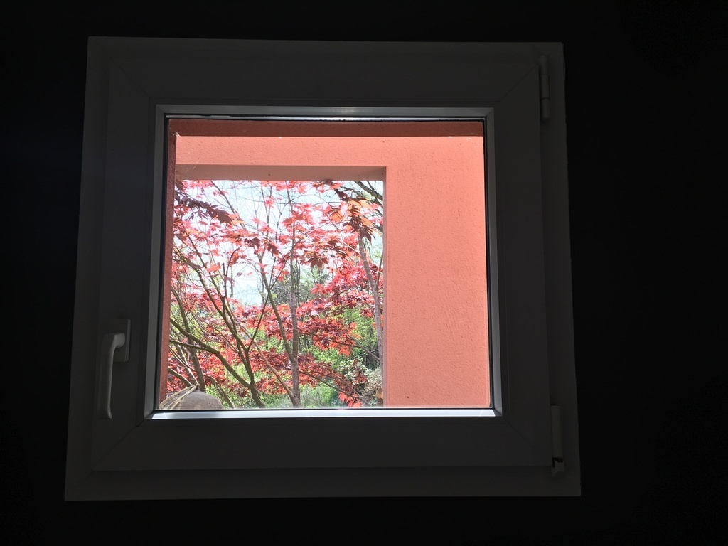 Detail of the house and garden.