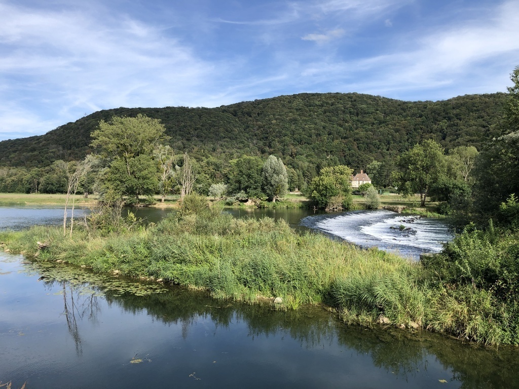 In Roche, August 2023, along euroveloroute 6, 10 min walking from home.