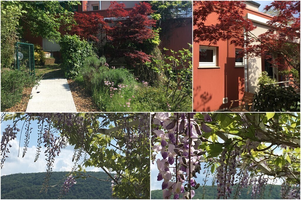 Entrance of the house and flowers on the balcony (Wiesteria flowers)