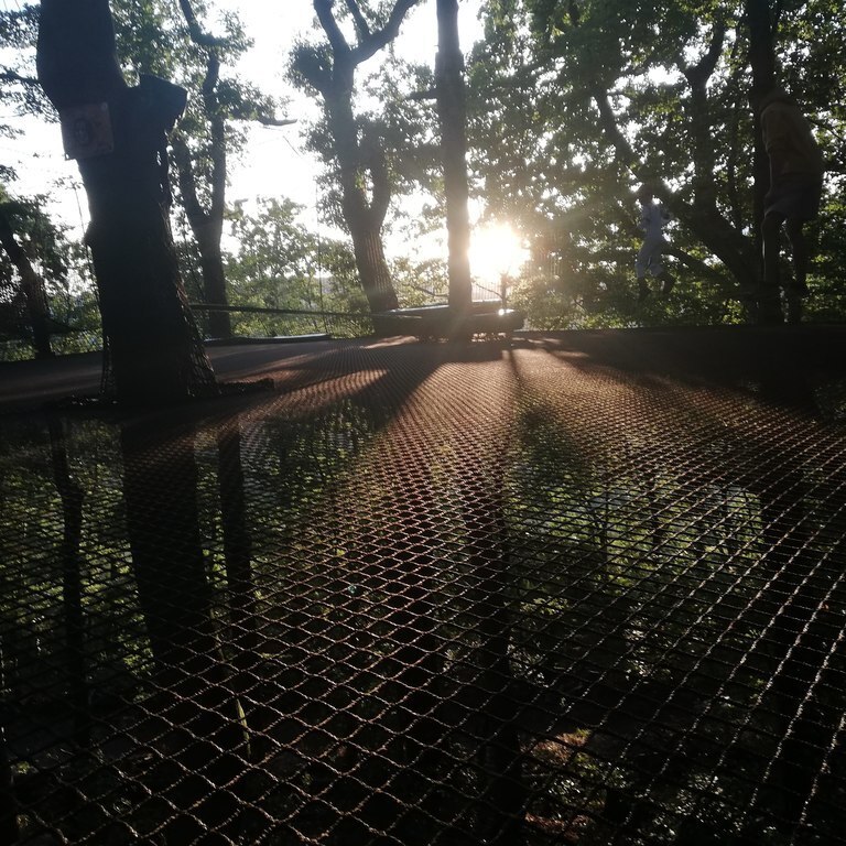 Le trampoforest